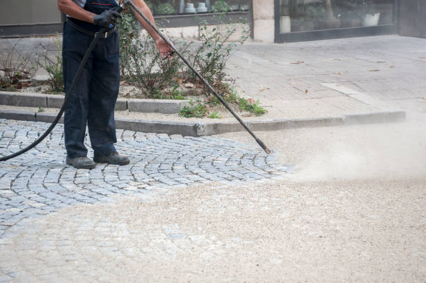 Best Dumpster Area Cleaning  in Island Park, NY
